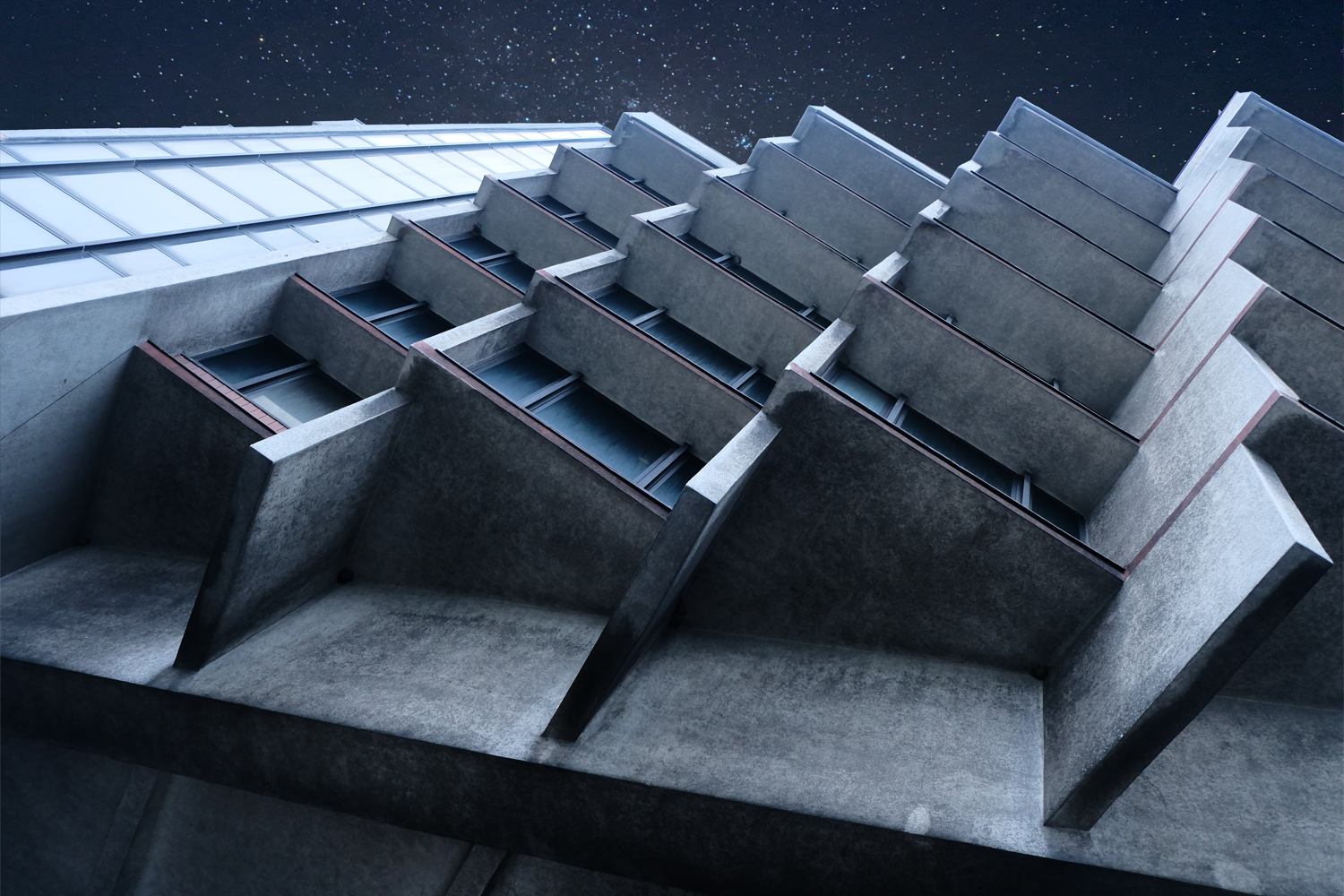 A biologist considering an apple