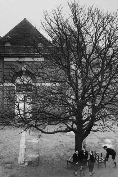 Aldenham School Pedophile Ring